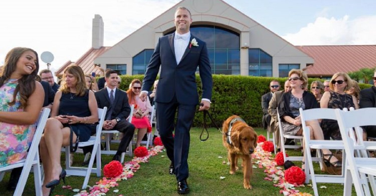 Gabe, il cane testimone nel matrimonio del proprietario (VIDEO)