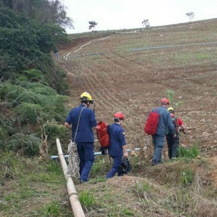 soccorso safira cucciolo