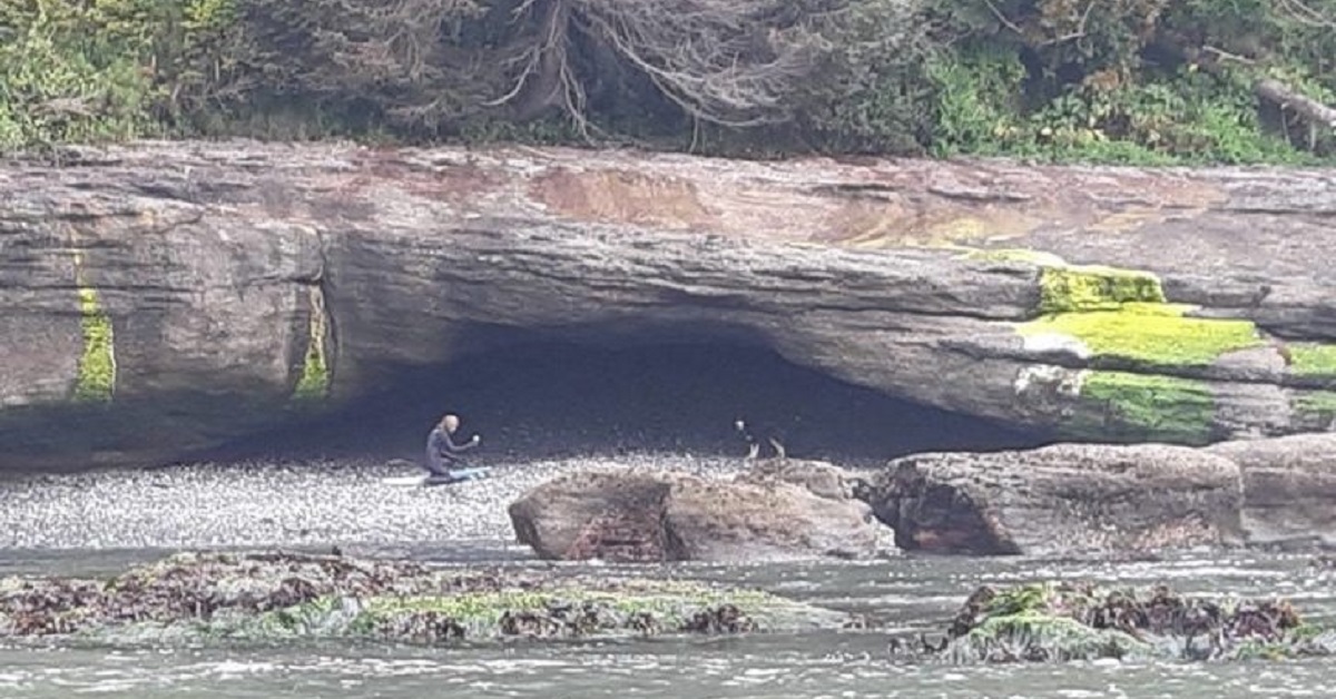 Il salvataggio di Stella, la cagnolina smarrita su un’isola (FOTO)