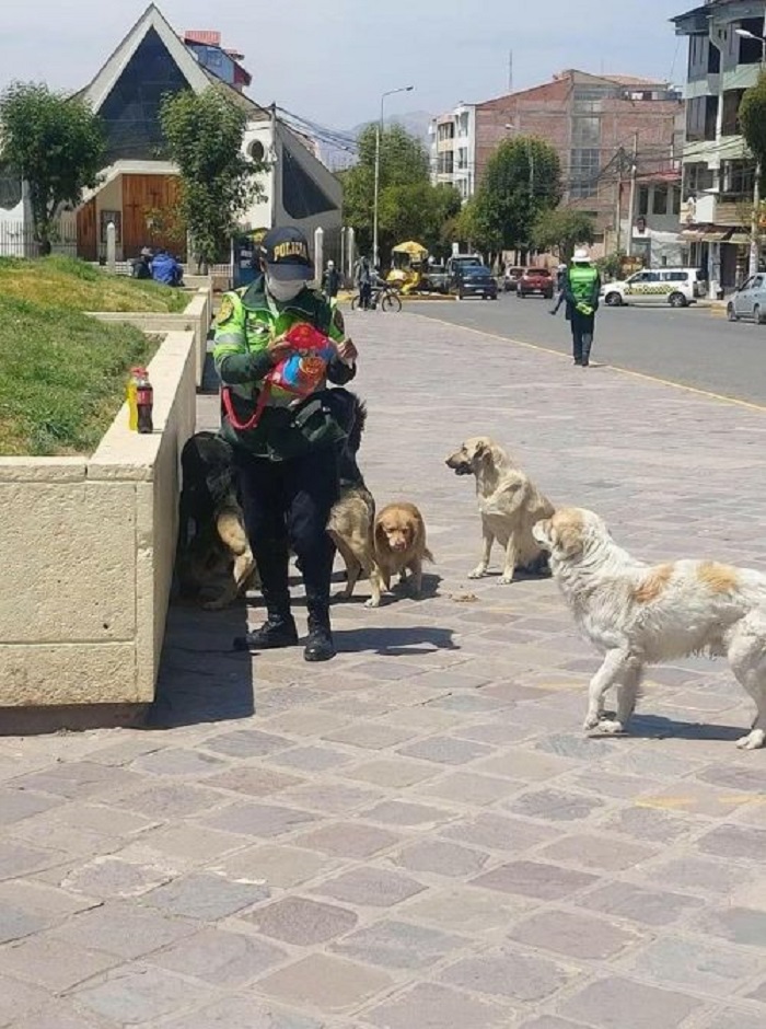 poliziotta cani randagi