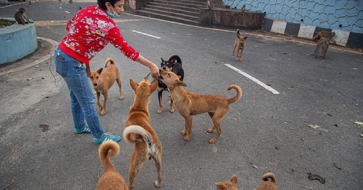 In Perù, una poliziotta offre del cibo a dei cagnolini randagi e conquista tutti (FOTO)