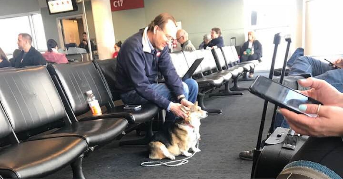 La cagnolina Cora consola un uomo triste in aeroporto (VIDEO)
