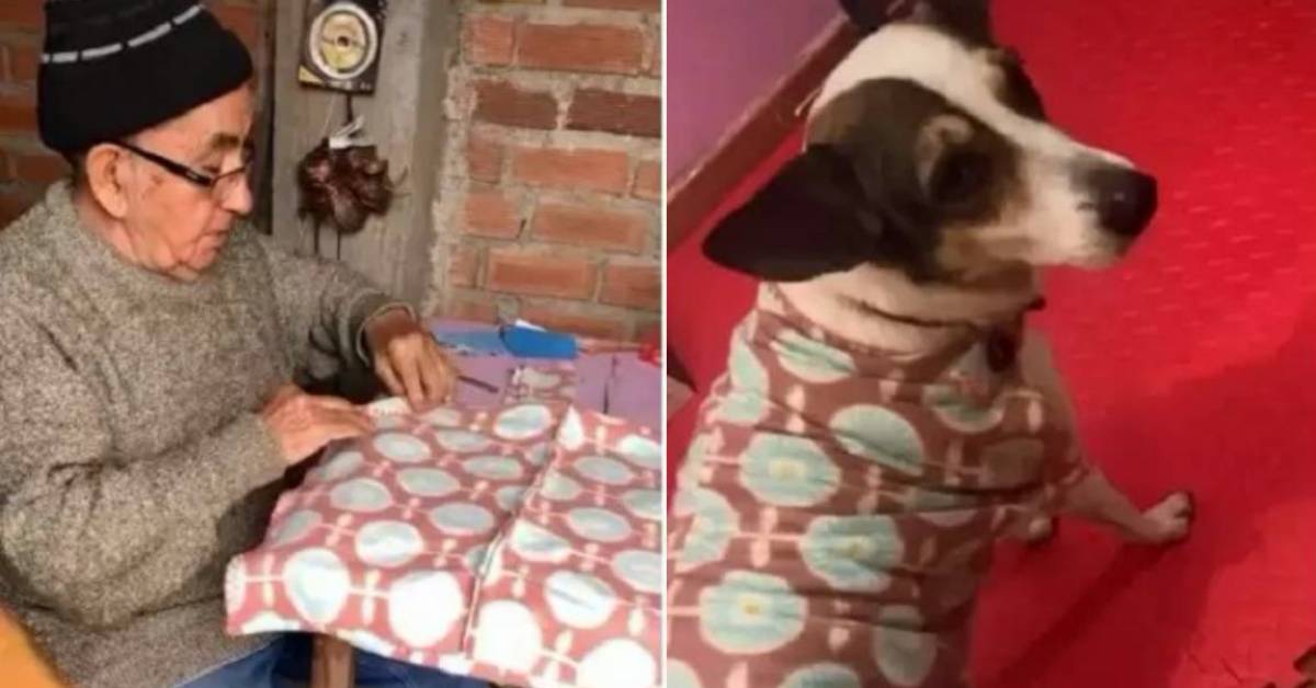 La cagnolina Loca riceve un maglione cucito a mano da un anziano (VIDEO)