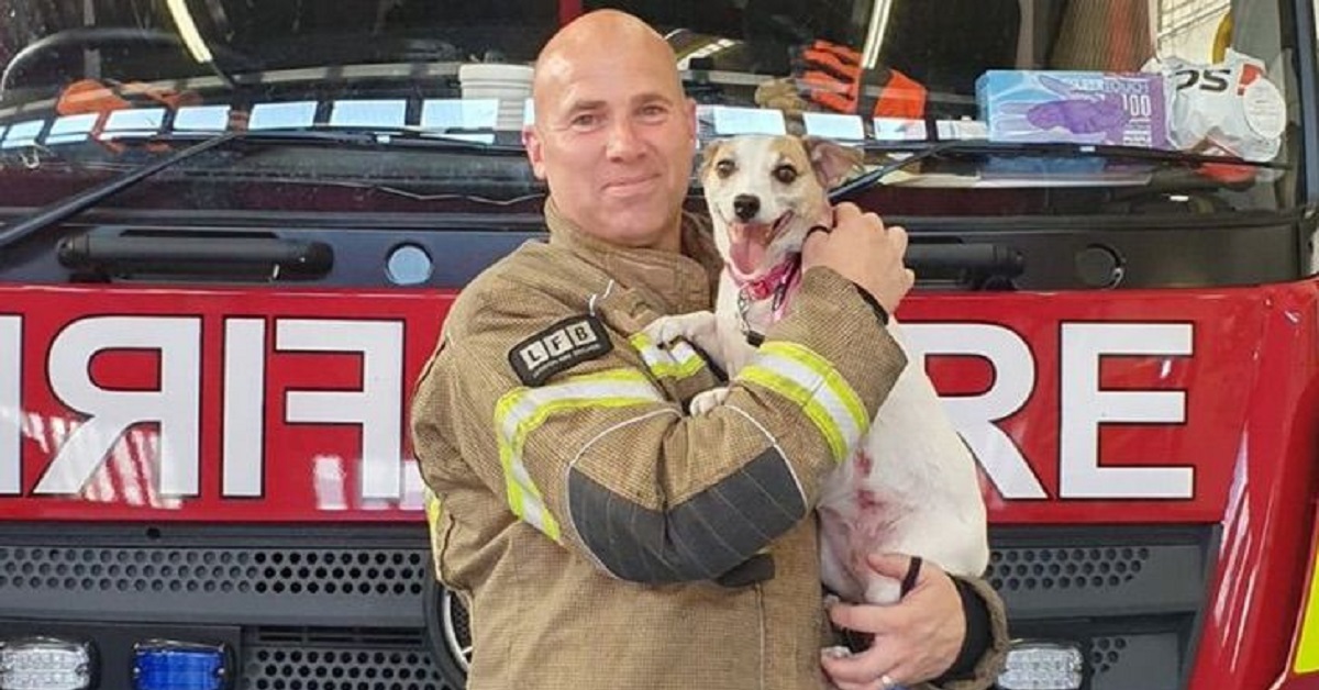 Millie, la cagnolina Jack Russell salvata dalle fiamme (FOTO)