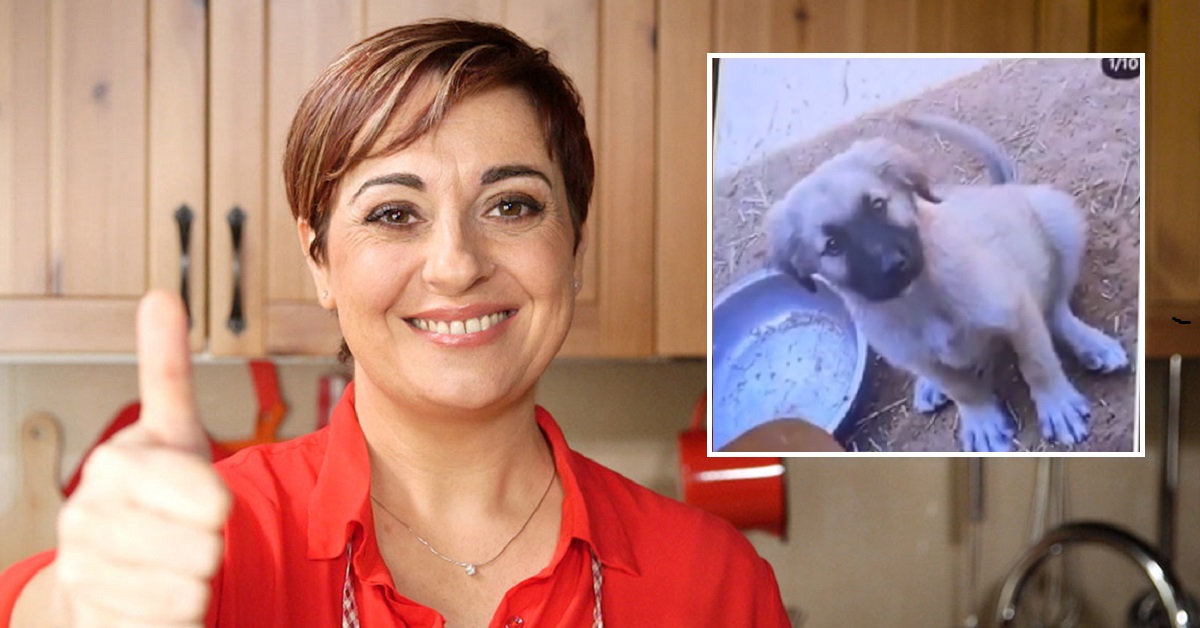 Nuovo cane per Benedetta Rossi (VIDEO): si chiama Cloud