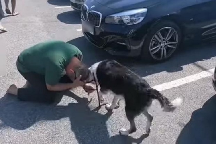 toobs cane ritrovato ragazzi canoa