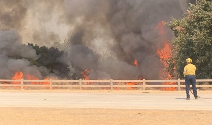 trooper cane incendio california