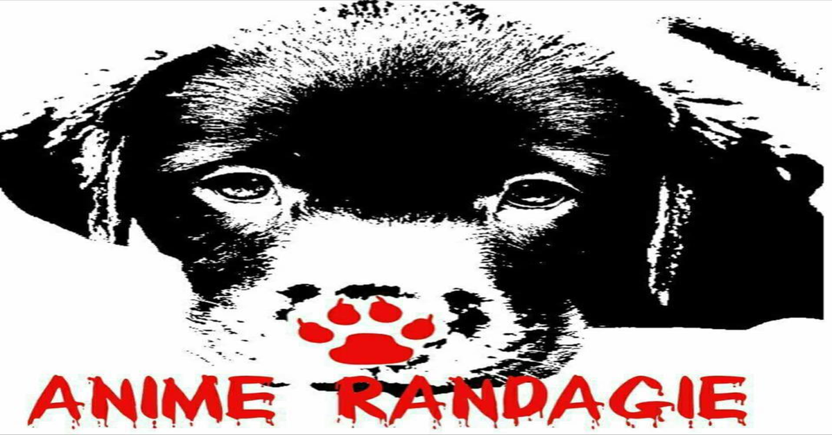 logo anime randagie Bovalino