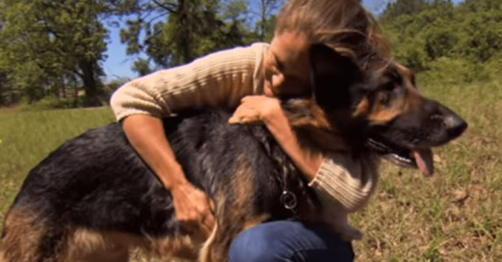 Cane abbracciato da una donna