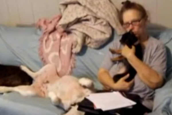 Callie, il cagnolino rapito che è riuscito a riabbracciare la sua proprietaria dopo 3 anni (video)