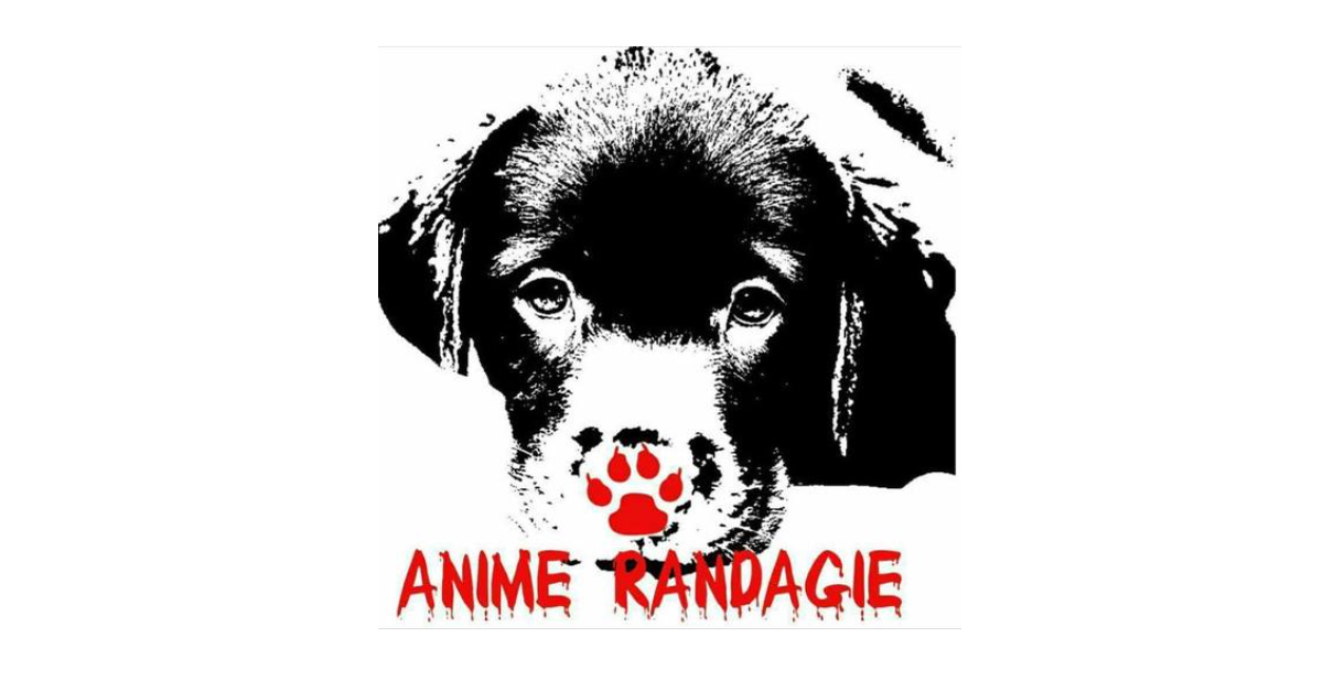 Granito, logo Anime Randagie Bovalino