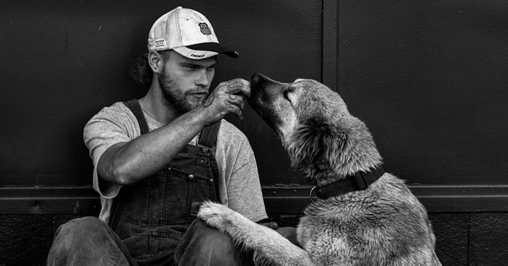 Cane con il proprietario senzatetto