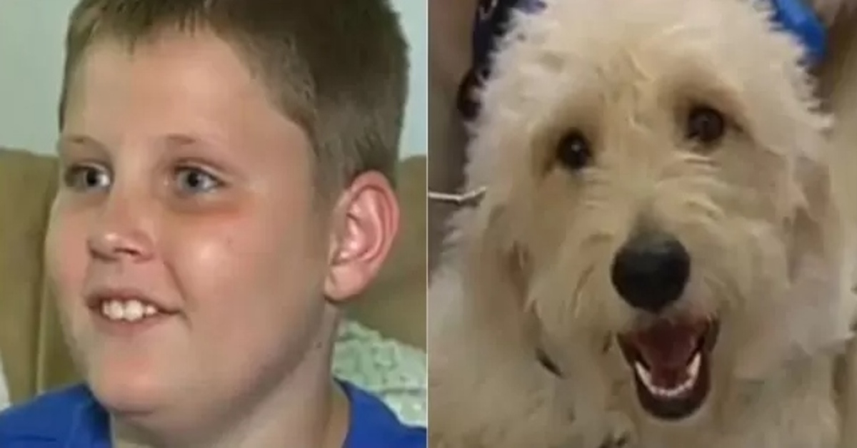 Lucky, il Goldendoodle che veglia su un bambino malato di diabete