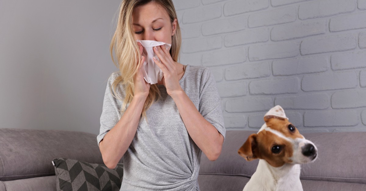 Cane anziano si spaventa degli starnuti: come cercare di tranquillizzarlo?