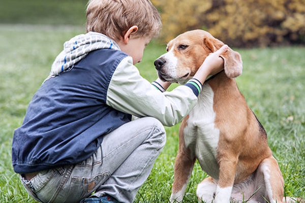 bambino accarezza un cane