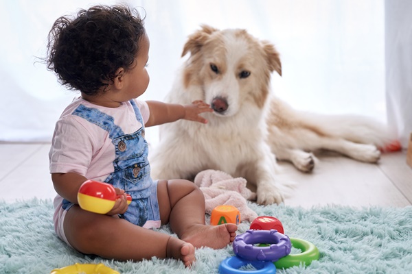 bambina molto piccola che gioca con il cane