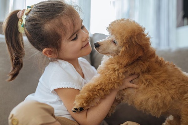 bambina che coccola un barboncino