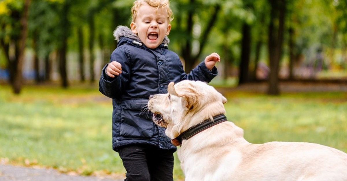Cane che attacca i bambini: come gestire ed eliminare questo comportamento