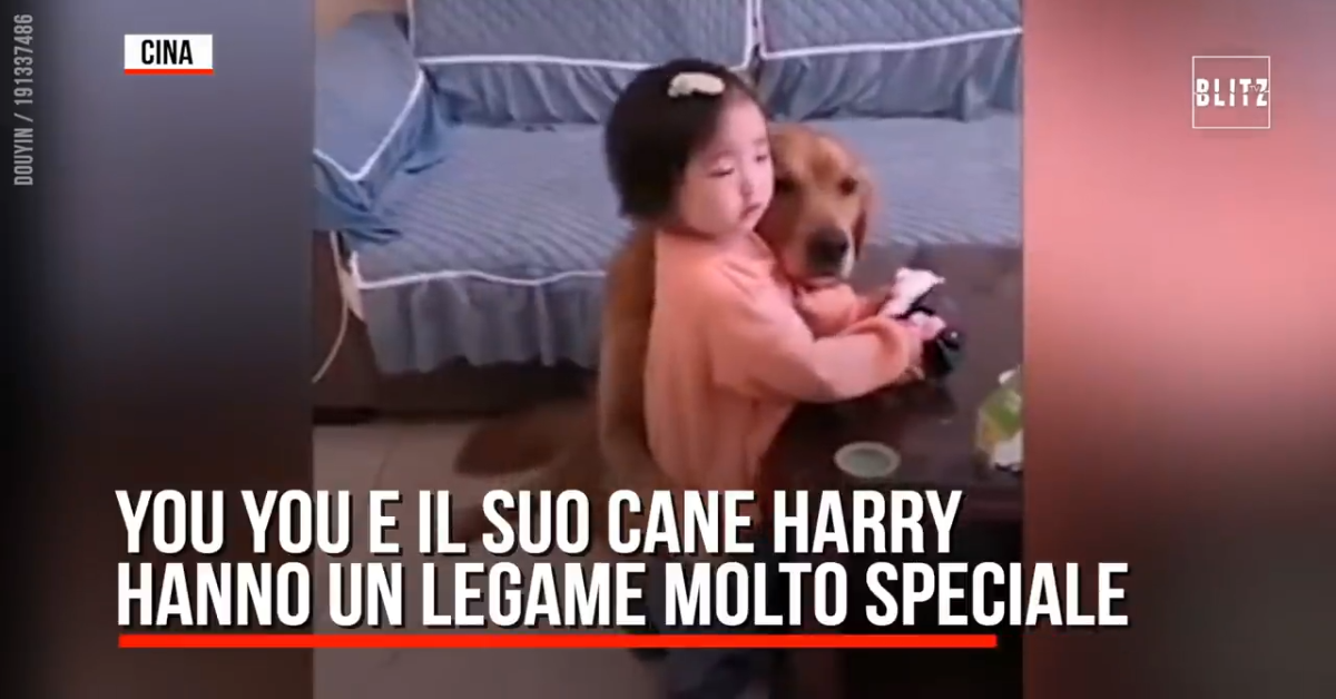 Un cane difende bambina dai rimproveri della madre (VIDEO)