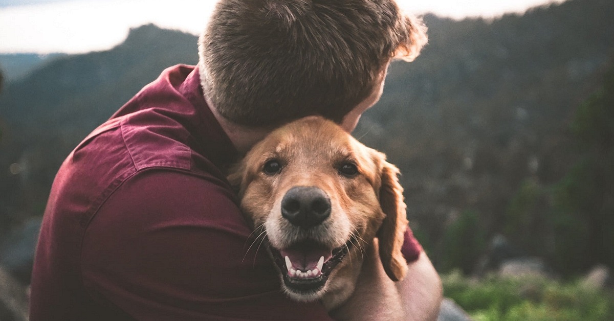 Un cane preso da adulto può affezionarsi comunque oppure no?