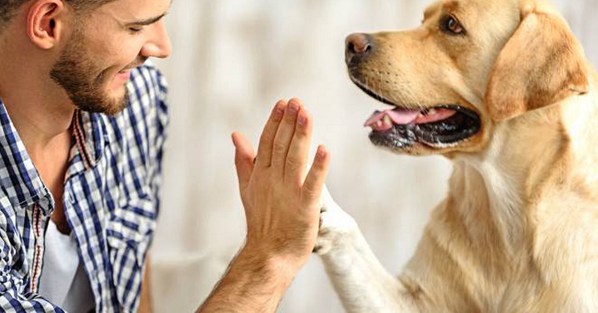 rapporto tra cane e uomo