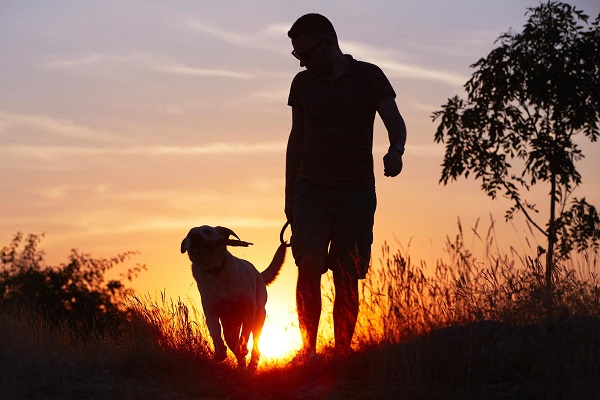 passeggiata con cane al tramonto