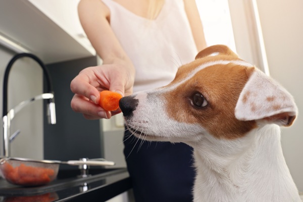 dare la frutta al cane