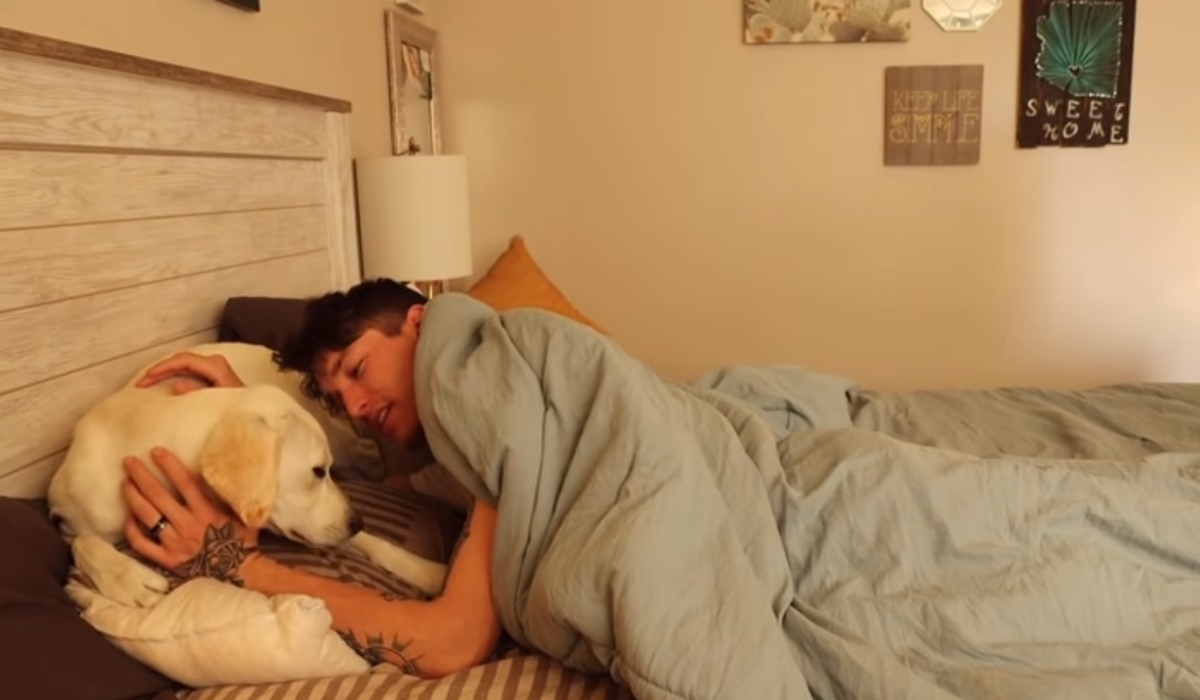 ragazzo coccola il suo cane a letto