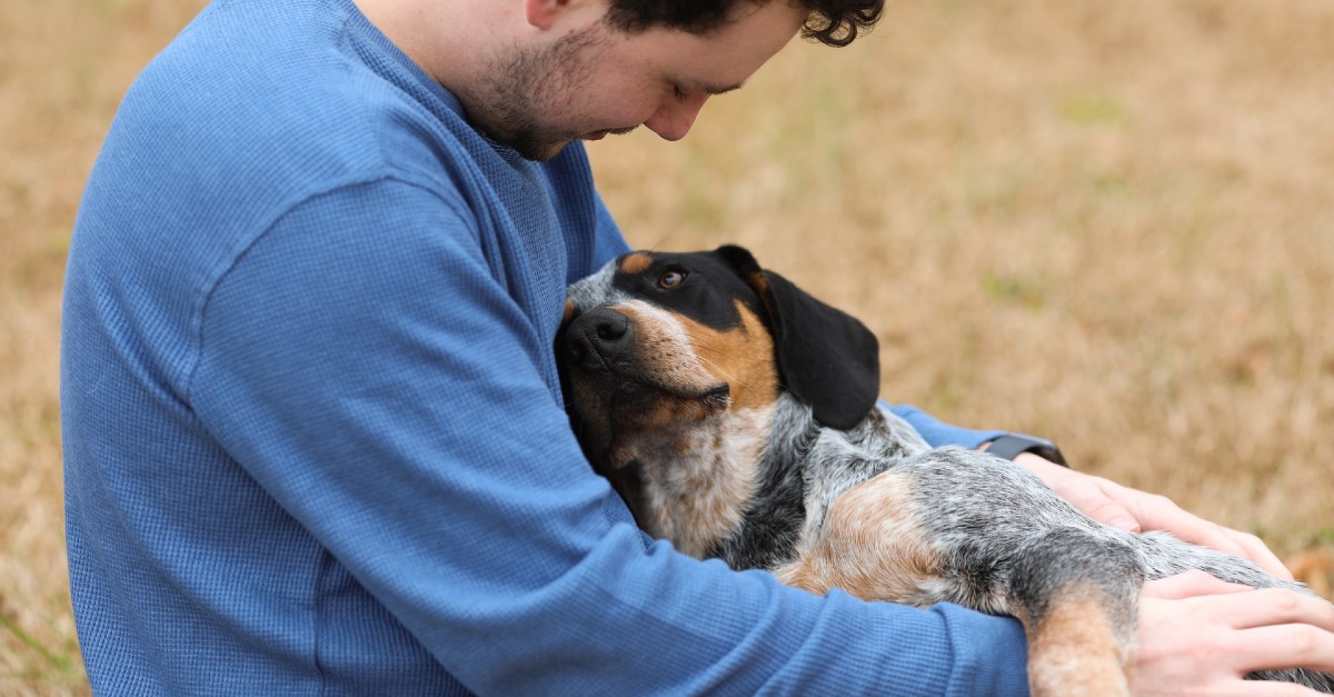 il cagnolino vuole più attenzioni