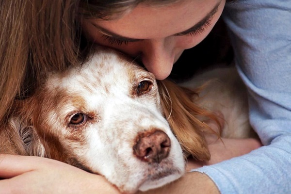 consolare un cane triste