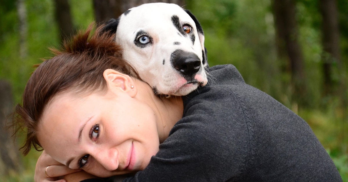 Evitare che il cane venga rubato: a cosa stare attenti e come muoversi