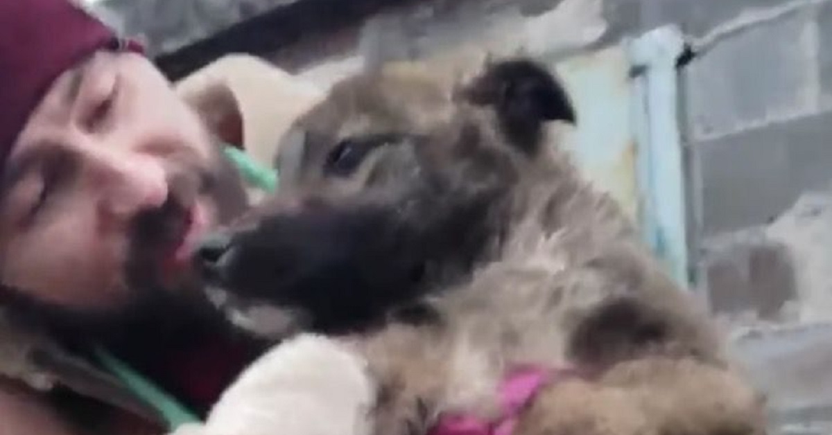 Il salvataggio di Dymka, la cagnolina abbandonata e gettata da una macchina (VIDEO)
