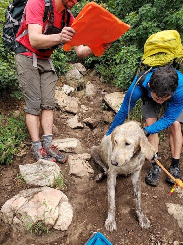 salvataggio cucciolo sete