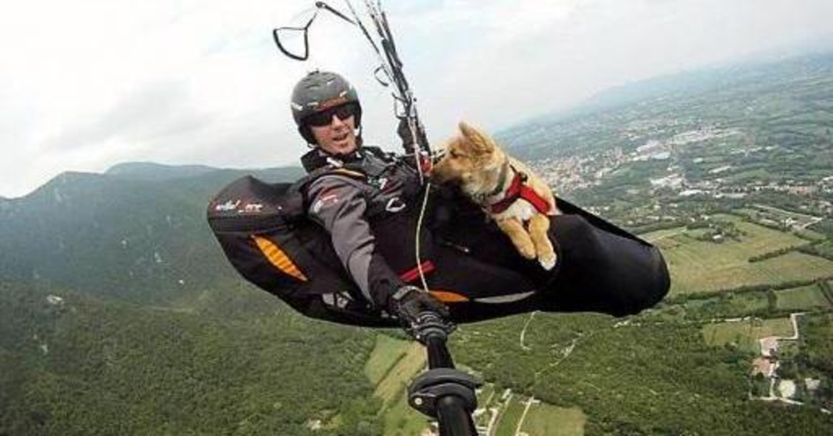 Cross, il cane che vola in parapendio (VIDEO)