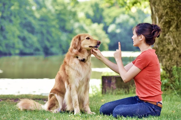 ragazza che addestra il suo cane