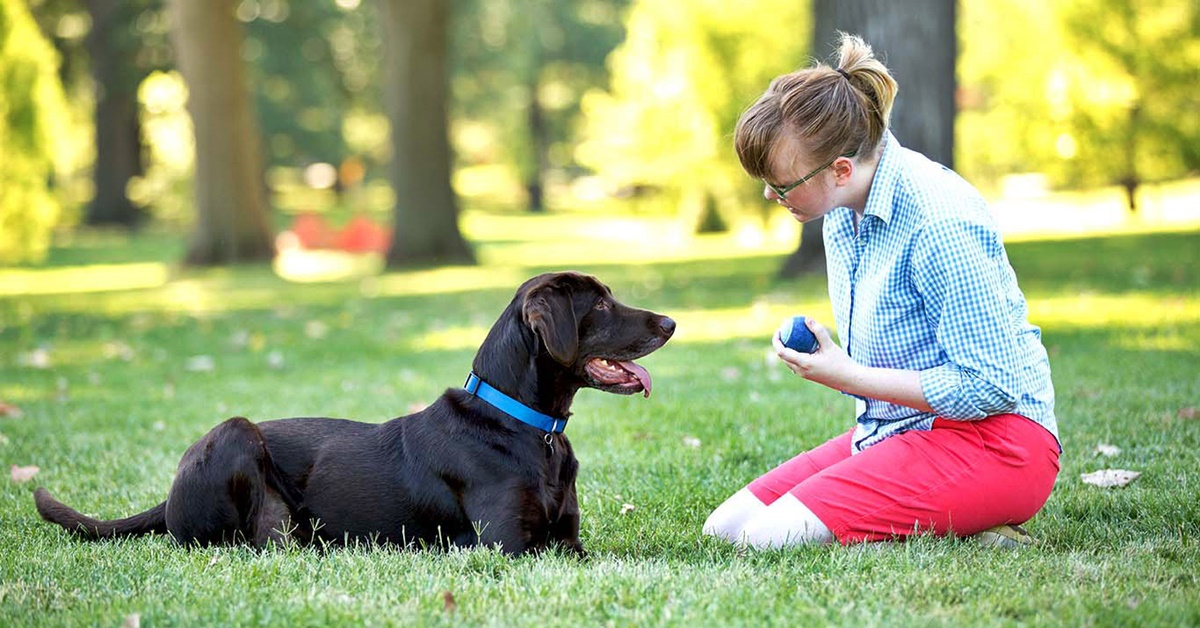 Insegnare al cane a rifiutare un’esca avvelenata: come fare, passo per passo