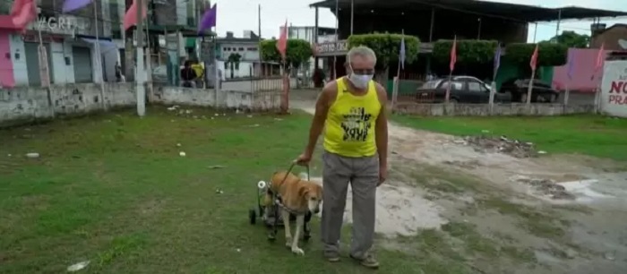 cagnolino passeggino carrello