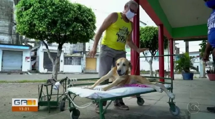 cagnolino aiuto romario