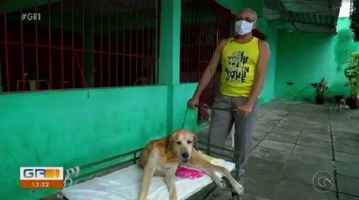 cane disabile foto