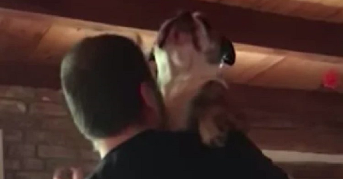 Penny, la cagnolina Bulldog che chiede un ballo al proprietario (VIDEO)