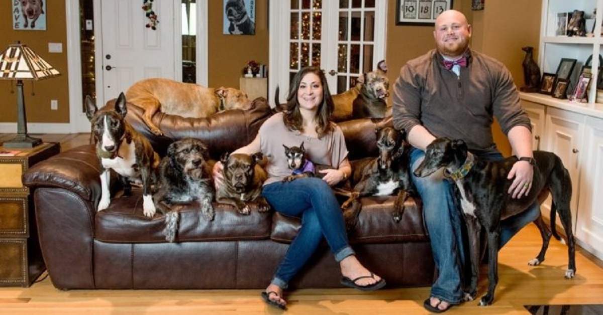 Per far vivere meglio i loro 20 cani spendono circa 55.000$ (VIDEO)