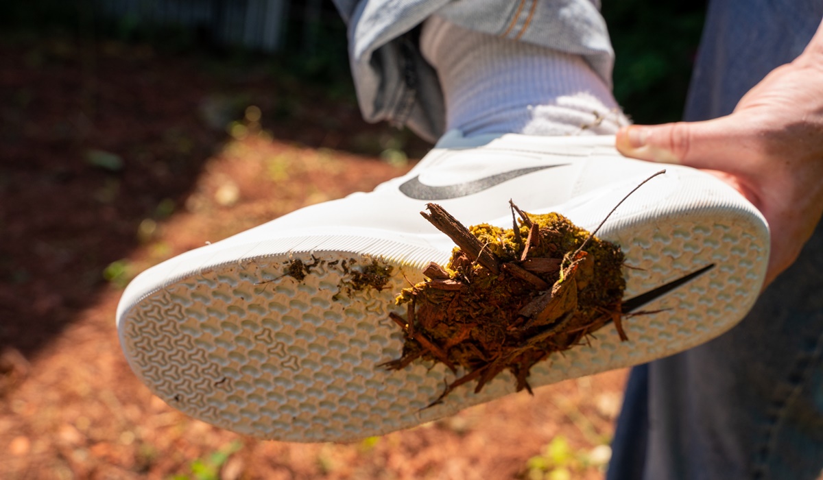 scarpe sporche di cacca