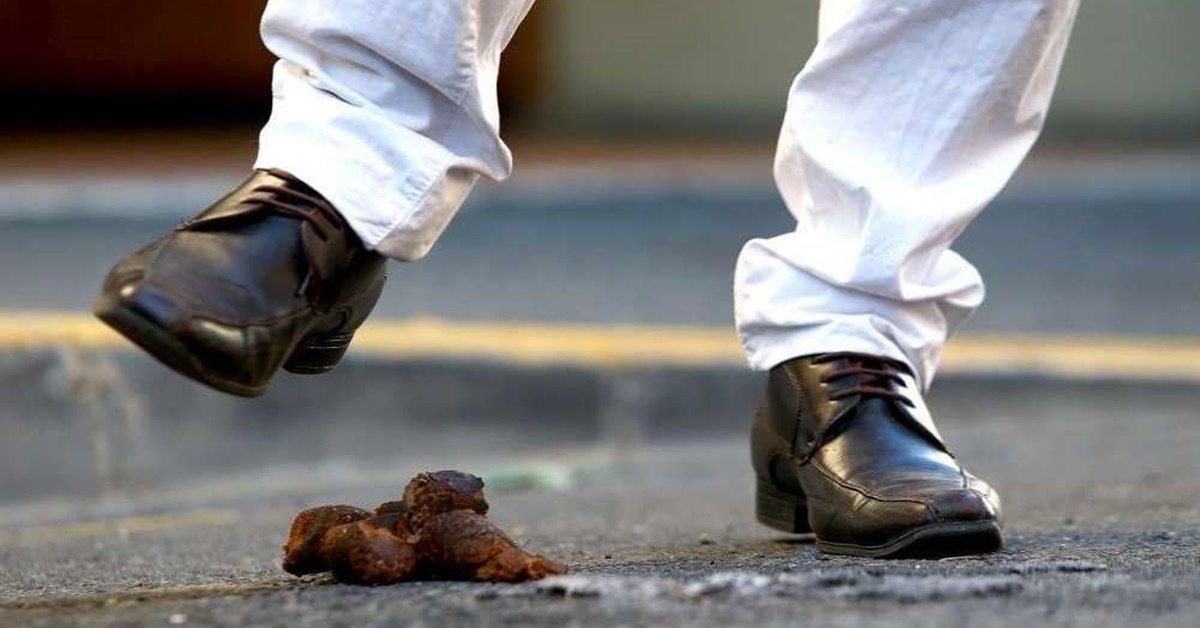 Perché si dice che pestare la cacca del cane porti fortuna?