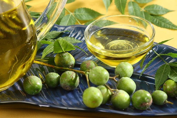 olio di neem repellente naturale per zanzare