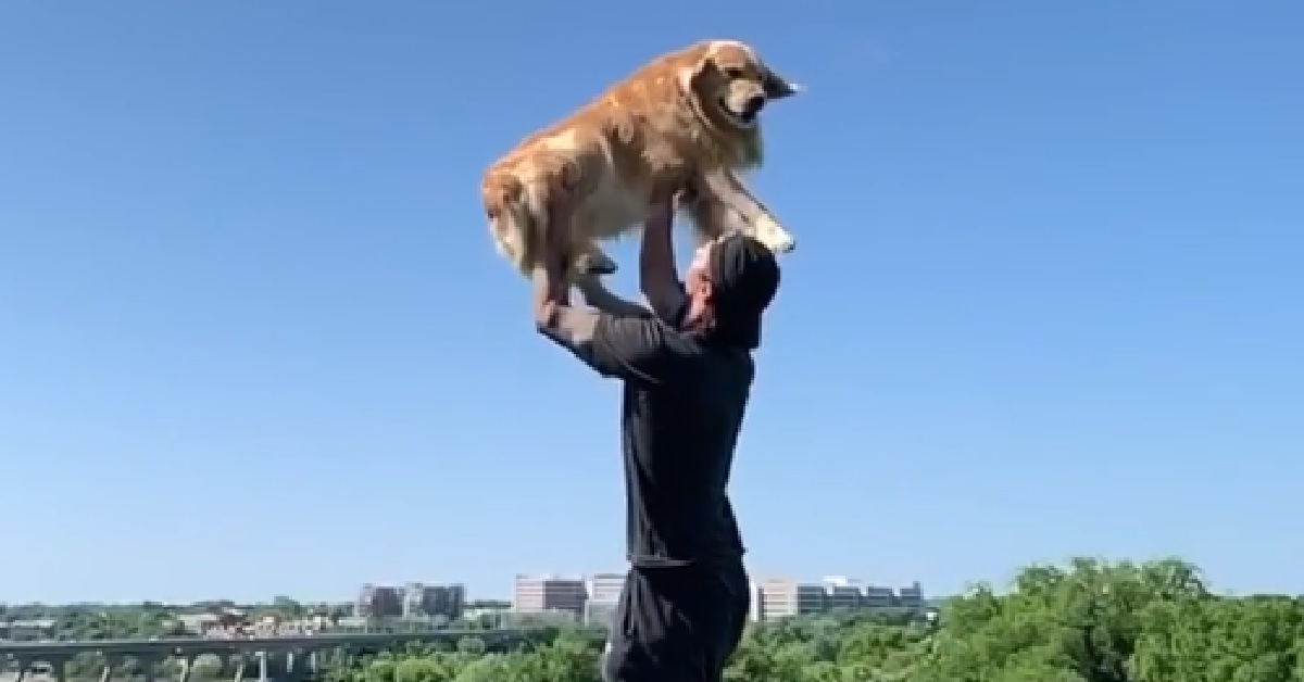 Riley, il Golden Retriever salta sempre fra le braccia del papà (VIDEO)
