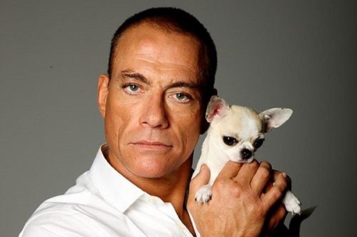 van damme cane