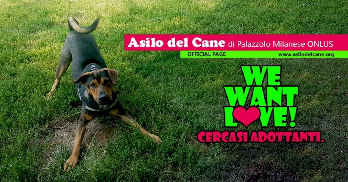 Asilo del Cane Palazzolo Milanese