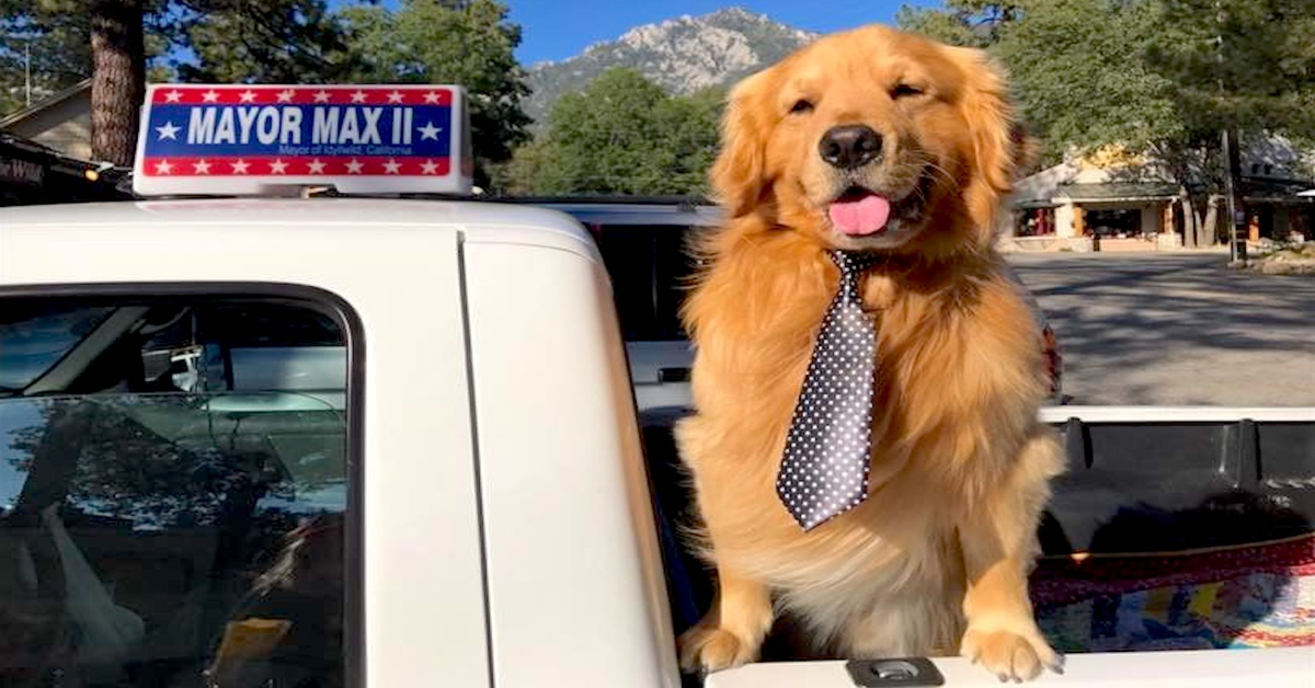 Max sindaco in auto