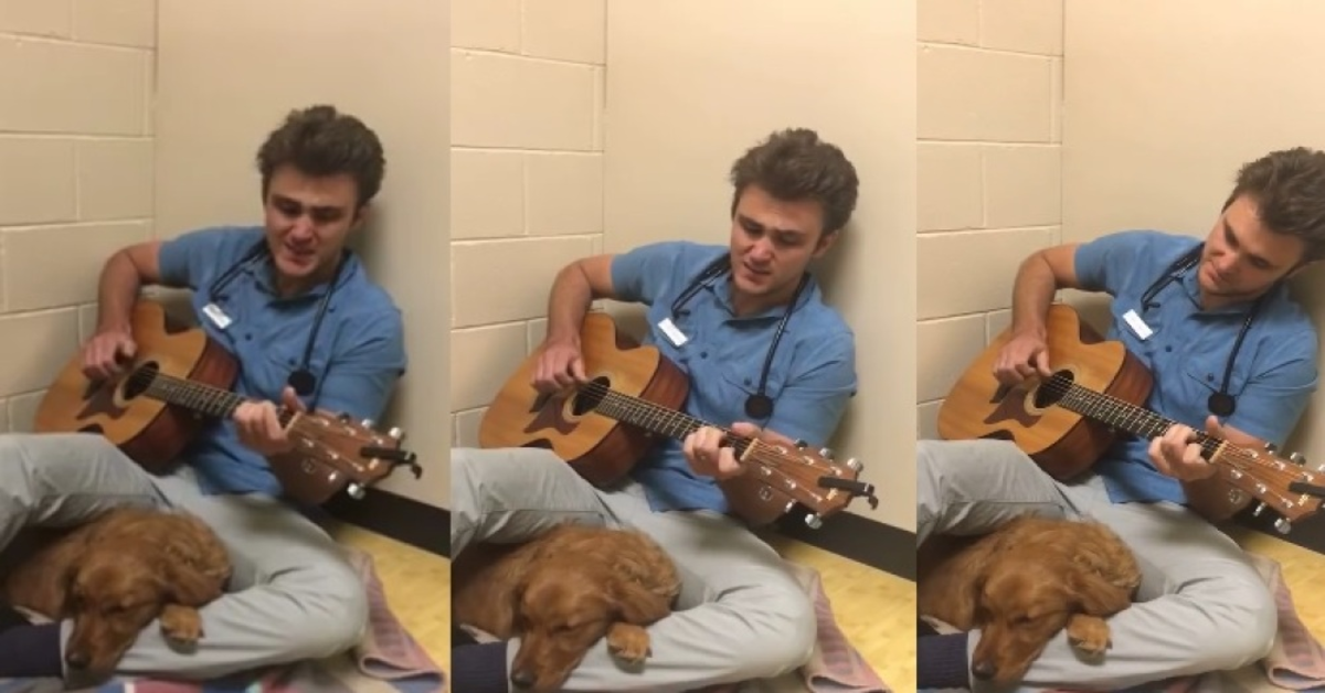 Un veterinario canta per tranquillizzare il cucciolo Ruby prima dell’operazione (VIDEO)