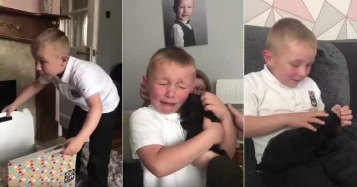 La adorabile reazione di un bambino quando vede il cucciolo che gli è stato regalato (VIDEO)